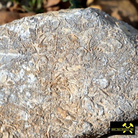 Sandgrube Frickenhausen II bei Ochsenfurt, Bayern, (D) - 18. Mai 2023 (9).JPG